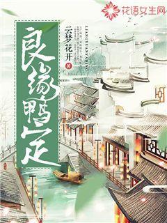 良缘鸭定电子书