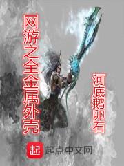 网游之金属领域
