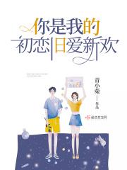 你是我的初恋情人歌词