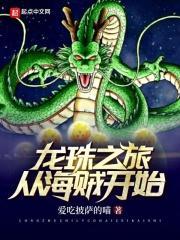 海贼之龙珠战士