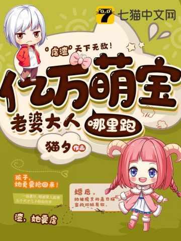 一胎七宝老婆大人哪里跑完整版