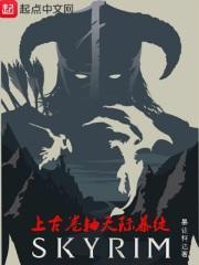 上古卷轴 thief
