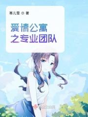 爱情公寓专业团队ppt