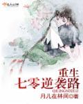 重生七零逆袭路再嫁