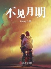 不见明月见青天什么意思