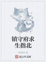 镇守府求生指北棉花糖