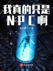 我真的不是npc女主