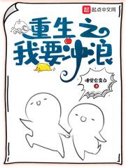 重生之我要冲浪几个女主