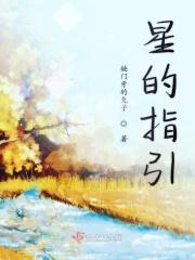 星的指引在哪可以看