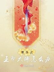 重生之王爷宠男妃