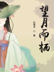 望月者是什么意思