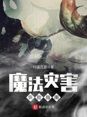 魔法灾害保险指南txt