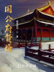 国公府的赘婿有声