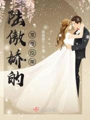 傲娇陆总追妻记无弹窗