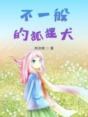 狐狸犬狐狸犬