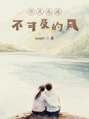 你是我遥不可及的梦的意思