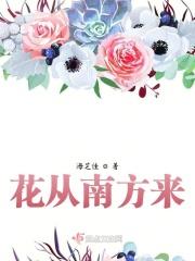 南方夏天开的花