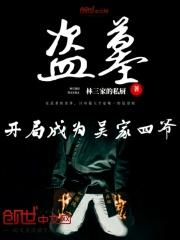 盗墓开局成为吴家小少爷
