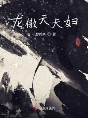 龙傲天的cp