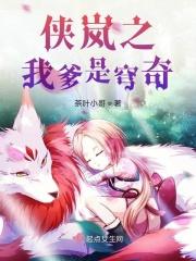 侠岚之晋江