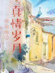 电视剧情四合大院