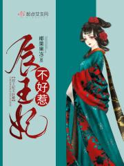 辰王宠妃忱上书