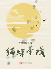 猫蝶图的寓意什么