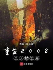 重生到2008年