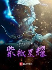 紫微斗数星耀对应人物