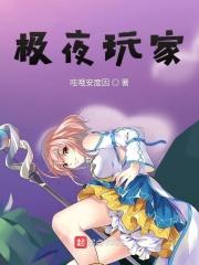极夜玩家 百度