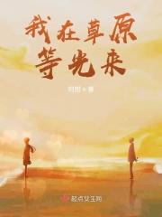 我在草原等你来是什么歌