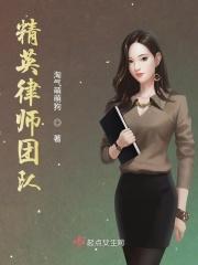 精英律师电视剧48集免费观看高清
