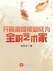 开局离婚被迫成为全职大师