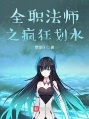 全职法师h小时