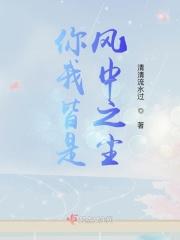 你我皆是风景的意思