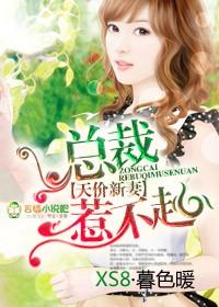天价宠儿总裁的新妻全文免费