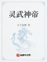 灵武帝尊 顶点