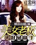 美女总裁的极品高手完结了吗