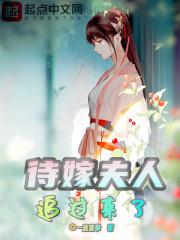 待嫁夫人追过来了txt