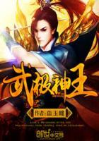 武极神王还有后续吗