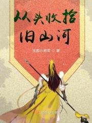 忌语从头收拾旧河山