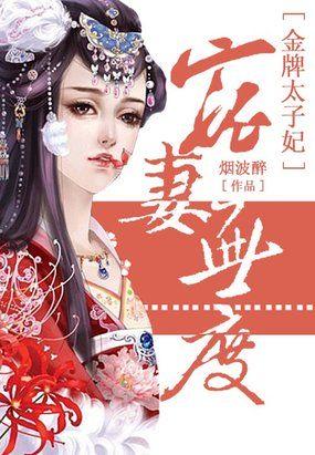 宠妻无度金牌相公后续