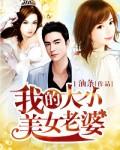 我的大小美女老婆油条百度百科