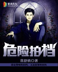 危险拍档全文阅读