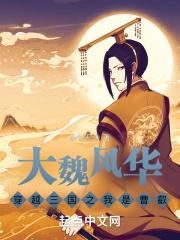 穿越三国之我是曹芳