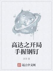 主角开高达的无限