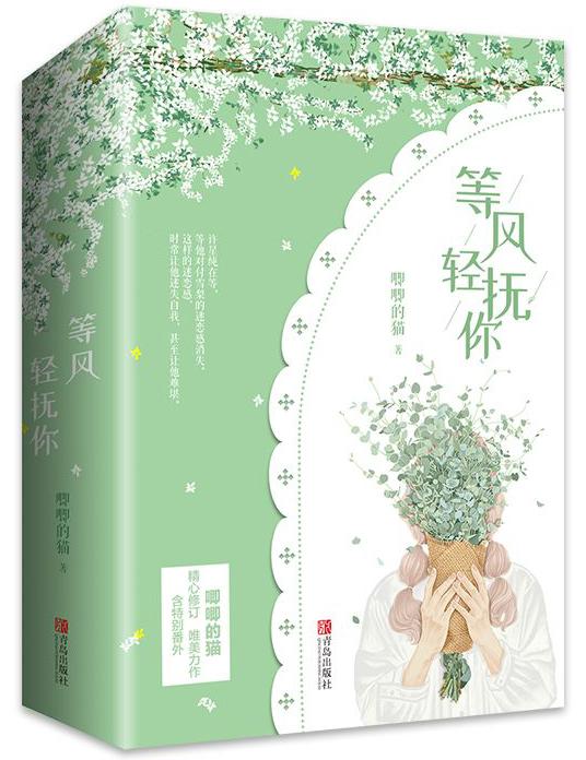 等风轻抚你有多少字