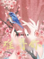 此生再难寻你