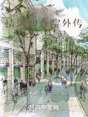 四合院情满四合院外传TXT