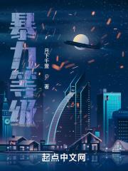 暴力等级的英文